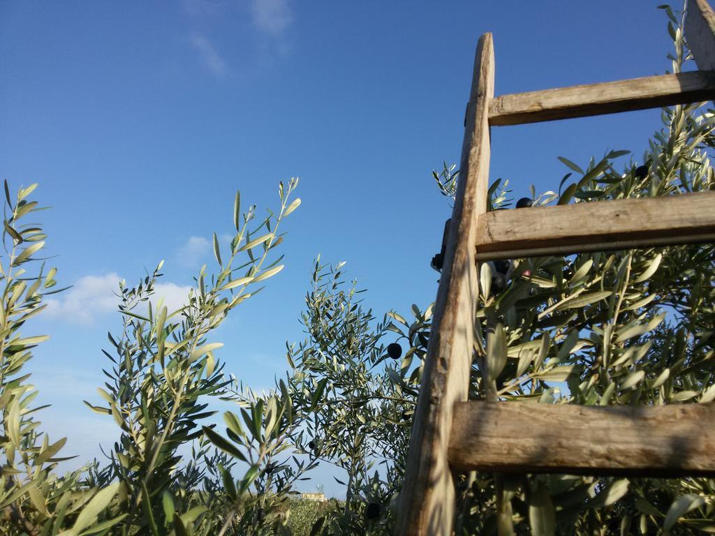 Cambiocavallo Resort Modica Exterior foto